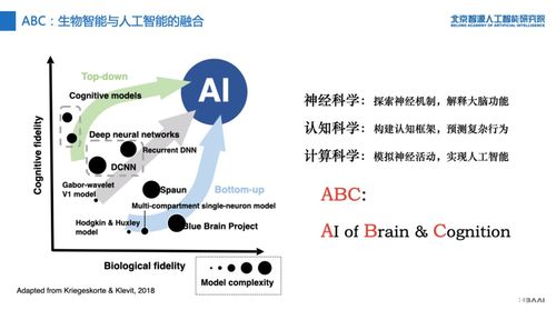 圖靈測(cè)試要出2.0版 智源研究院重磅發(fā)布人工智能的認(rèn)知神經(jīng)基礎(chǔ)與新型理論算法軟件